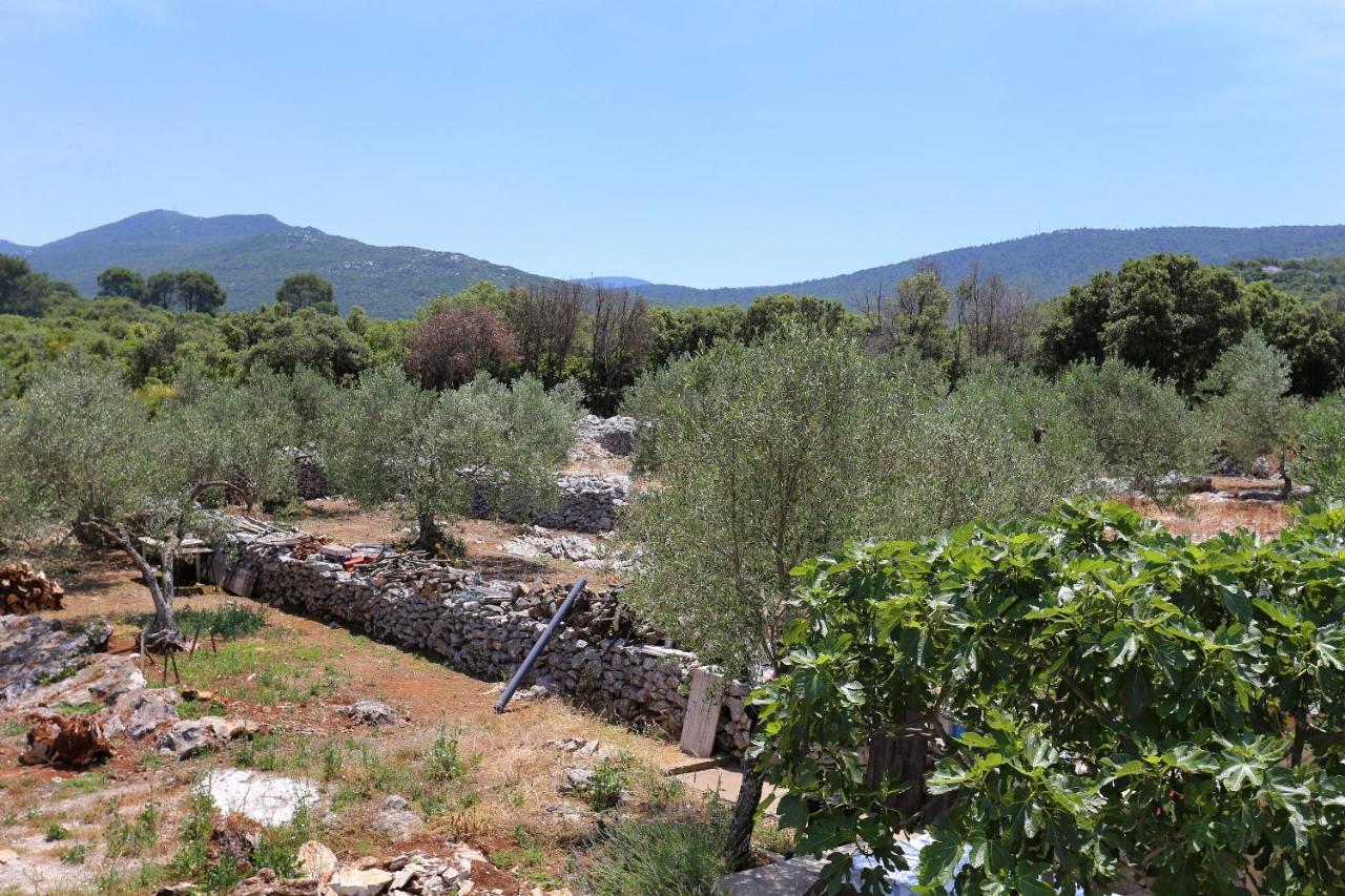 Apartments By The Sea Drace, Peljesac - 10127 Exterior foto